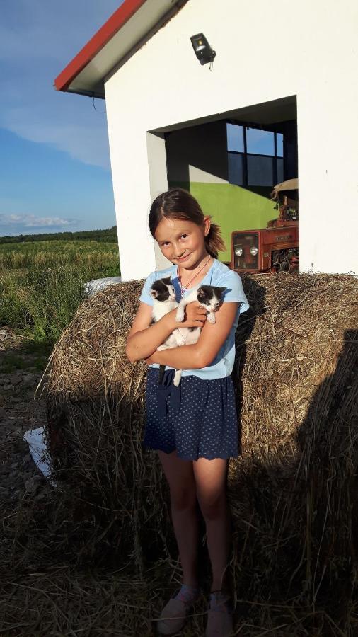 Eko Zagroda Bocianie Gniazdo Mikołajki Bagian luar foto