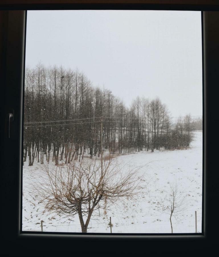 Eko Zagroda Bocianie Gniazdo Mikołajki Bagian luar foto